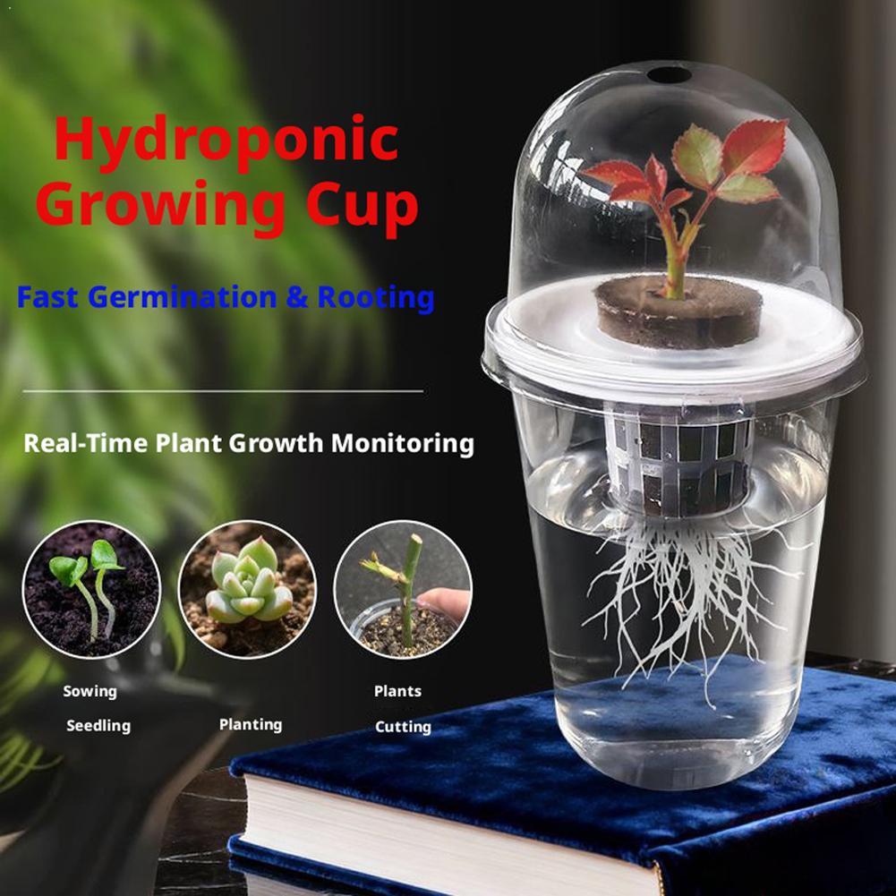 Hydroponic Tower - 植物苗水耕栽培カップ透明プラスチック植木鉢目に見える根系温室発芽用