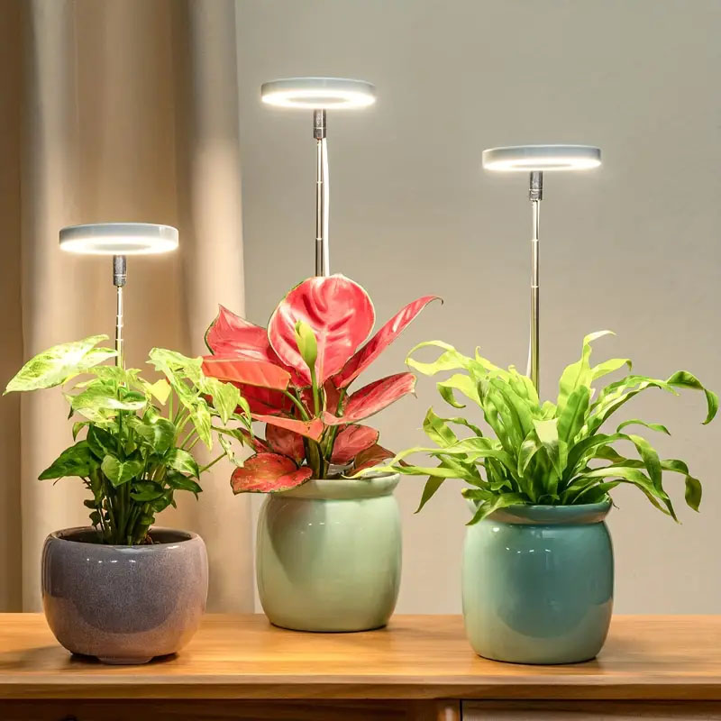Indoor Garden Kit - LED 成長ライト フルスペクトル植物ランプ 調節可能な調光可能な成長ランプ LED 水耕栽培ランプ