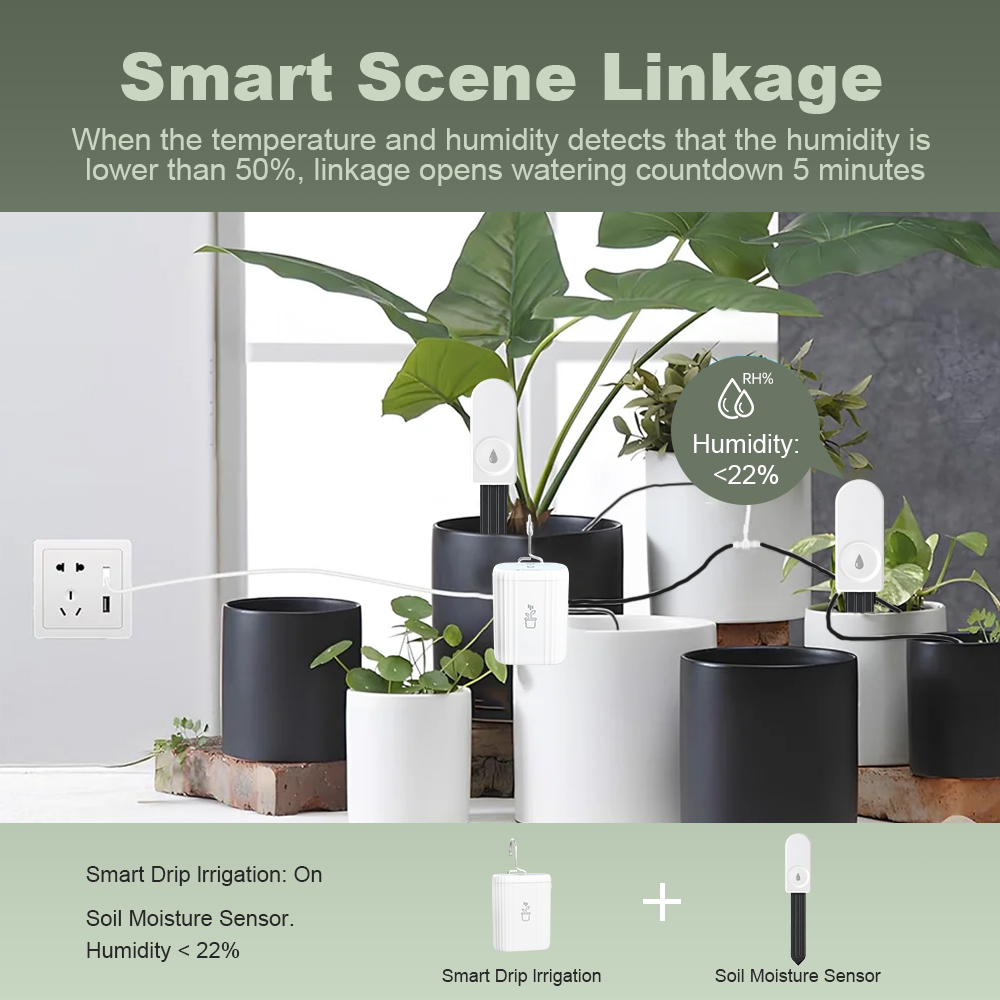 5個入り ZigBee 3.0 土壌水分計 便利なガーデニン - Plant Monitor のレビューと価格
