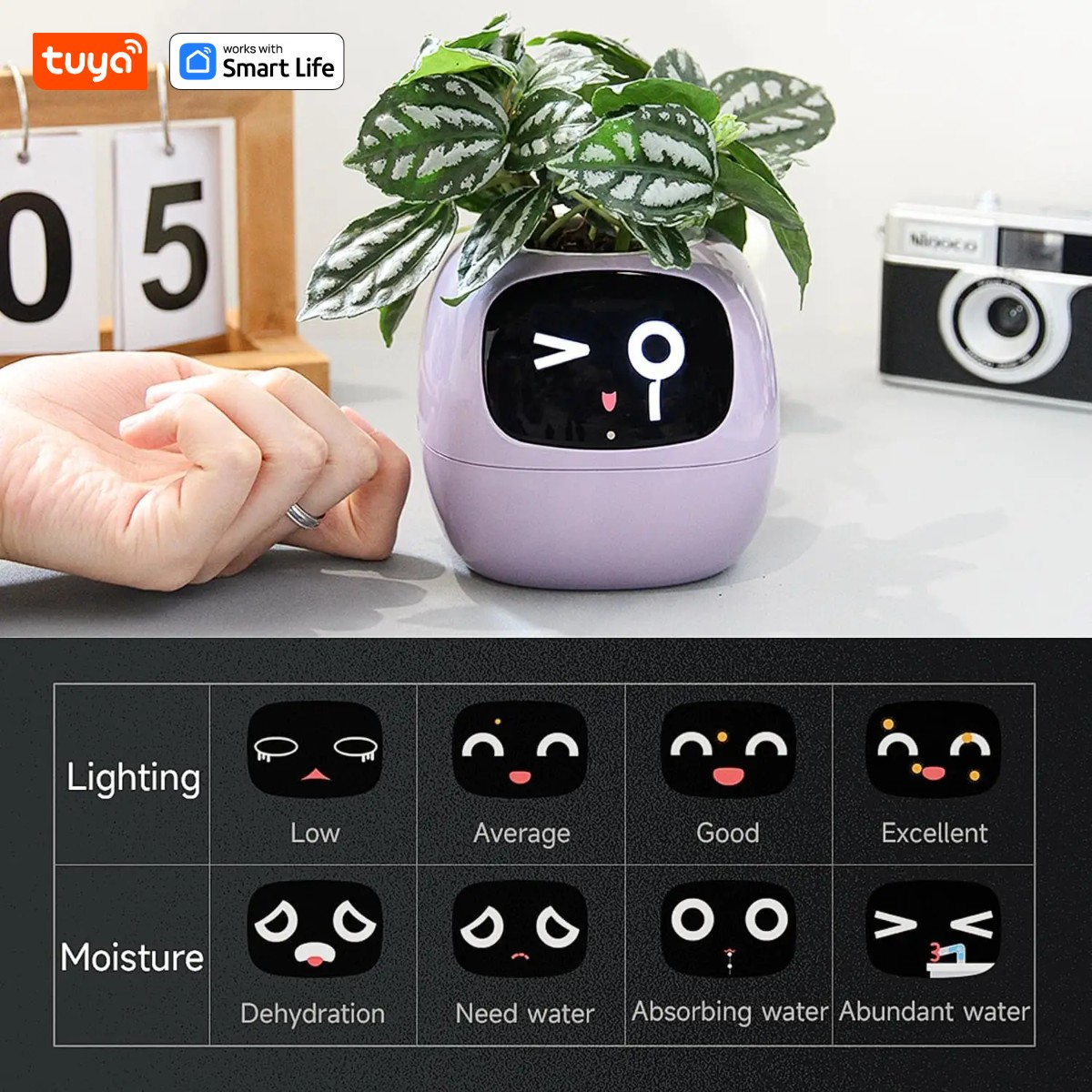 Tuya ivyスマートプランター、永遠の楽しみ、49の豊富 - Smart Pot のレビューと価格