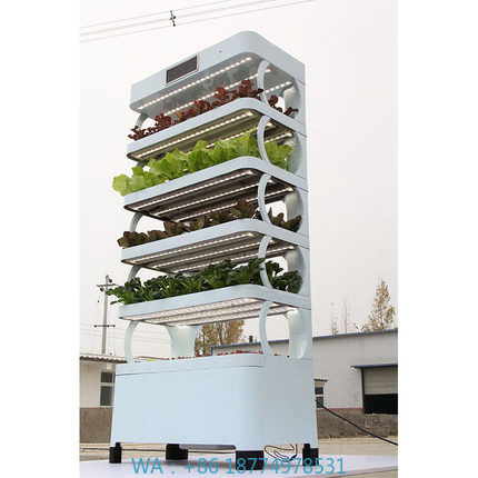 家庭用ハイドロポニック栽培システム新登場 室内スマートガーデ - Smart Garden System のレビューと価格
