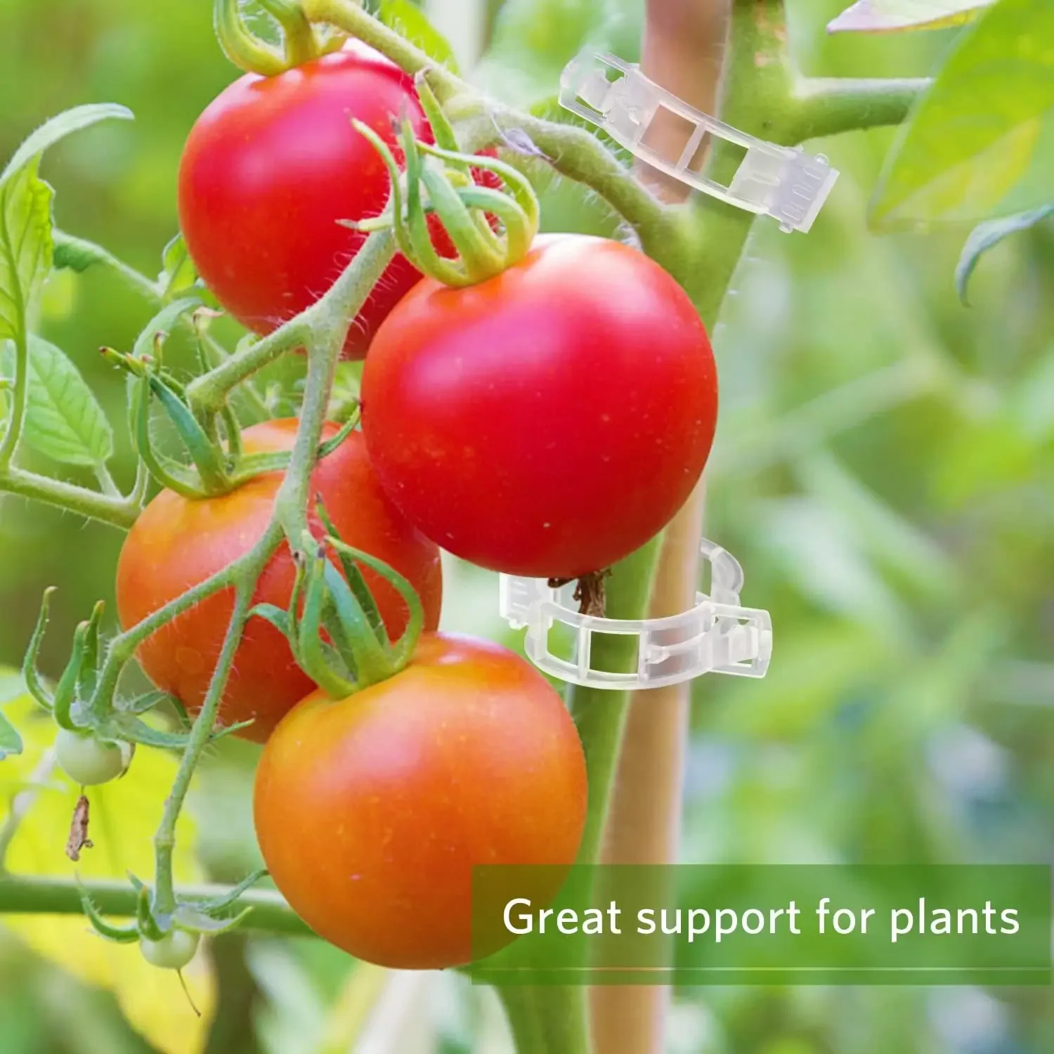植物サポートクリップ 再利用可能なプラスチック製 つる固定ク - Smart Garden Kit のレビューと価格