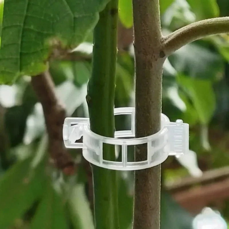 植物サポートクリップ 再利用可能なプラスチック製 つる固定ク - Smart Garden Kit のレビューと価格