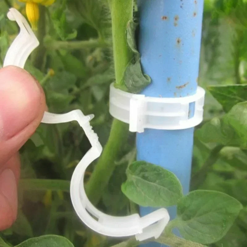 植物サポートクリップ 再利用可能なプラスチック製 つる固定ク - Smart Garden Kit のレビューと価格