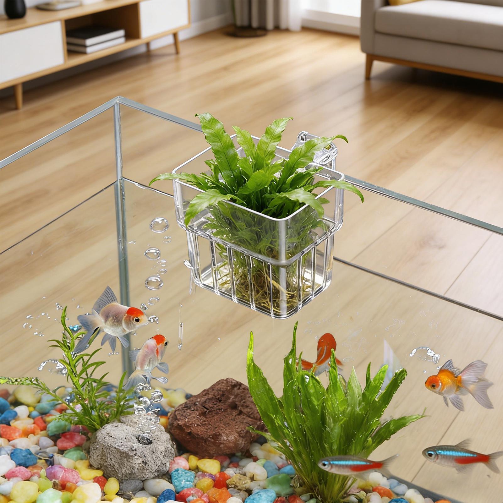 透明な吊り下げ式水槽植物ホルダーポット、水槽水耕栽培システム - Hydroponic Grow Pod のレビューと価格