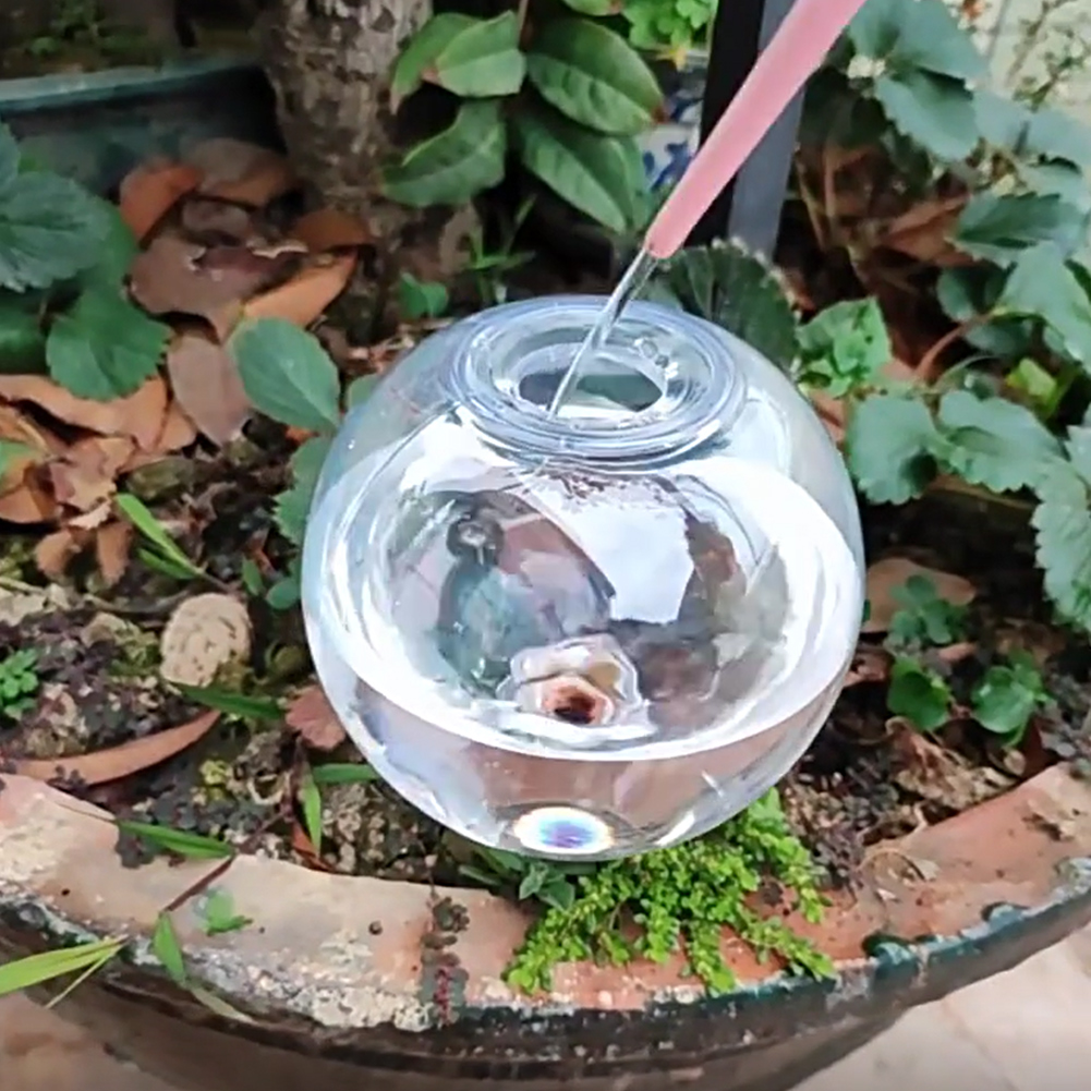 500ML自動給水グローブ点滴灌漑システム、自動給水プランタ - Self Watering Planter のレビューと価格