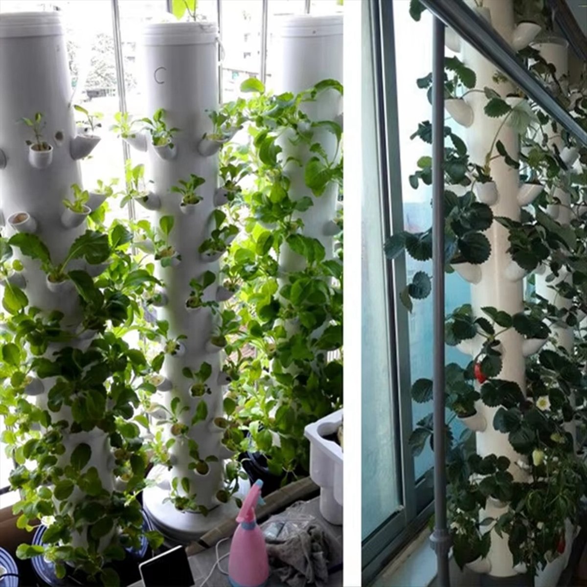 水耕栽培用垂直タワーコンテナDIY水耕栽培カップフラワーコン - Hydroponic Tower のレビューと価格