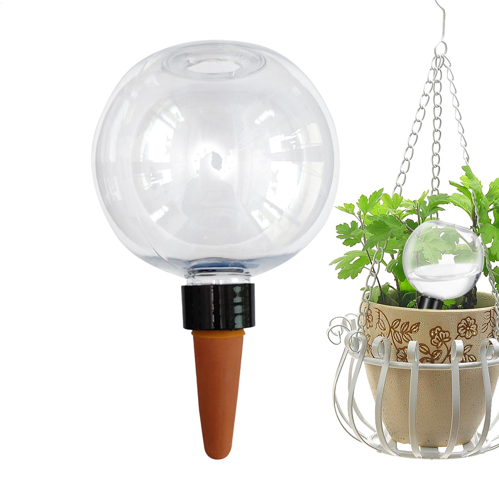 500ml自動植物散水球ガラス球プランターインサート簡単自動 - Self Watering Planter のレビューと価格