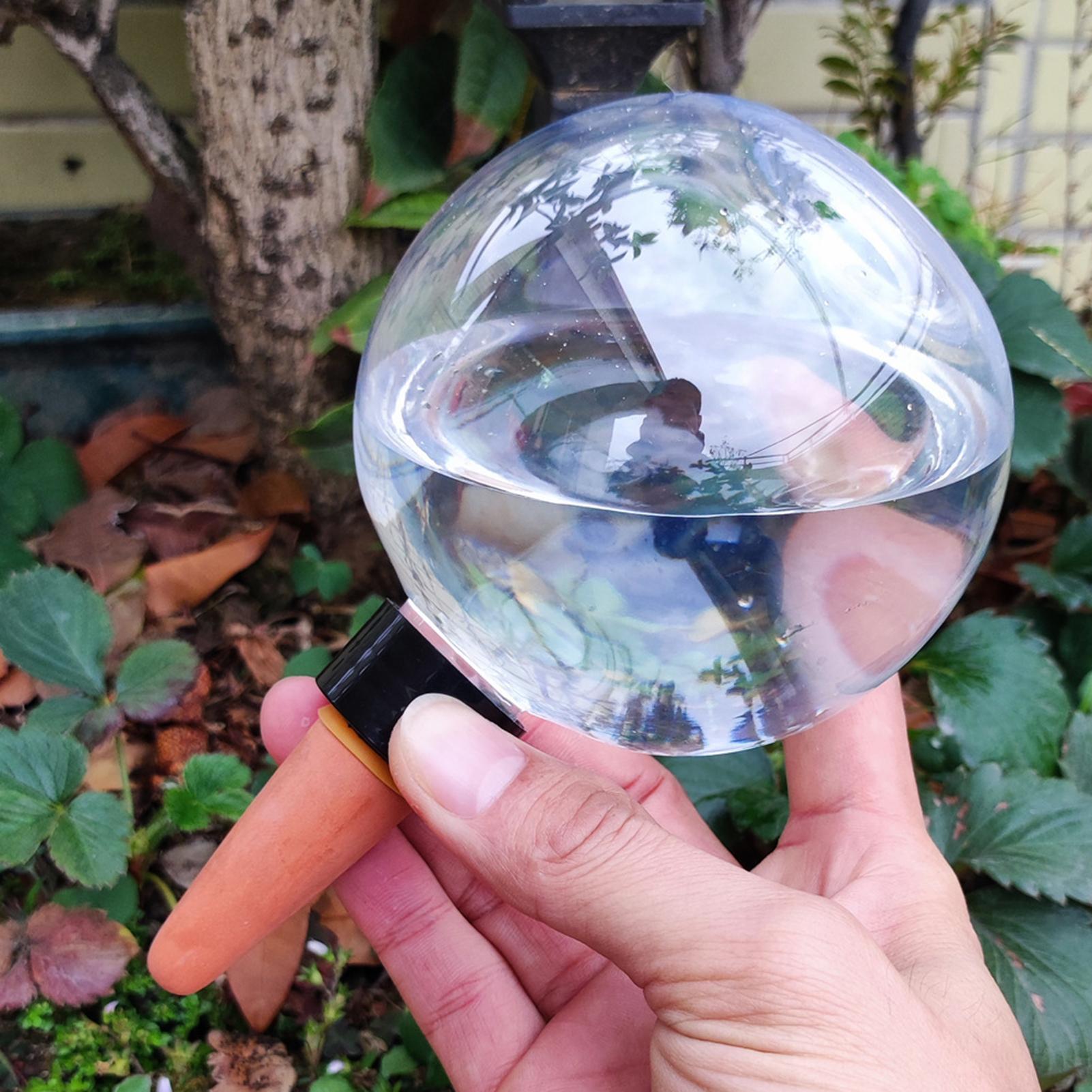 500ml自動植物散水球ガラス球プランターインサート簡単自動 - Self Watering Planter のレビューと価格